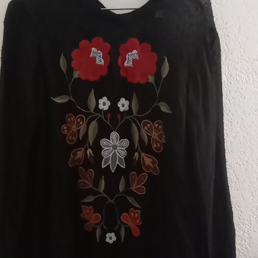 Sheer black zara embroidered top